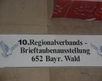 IMG 3790